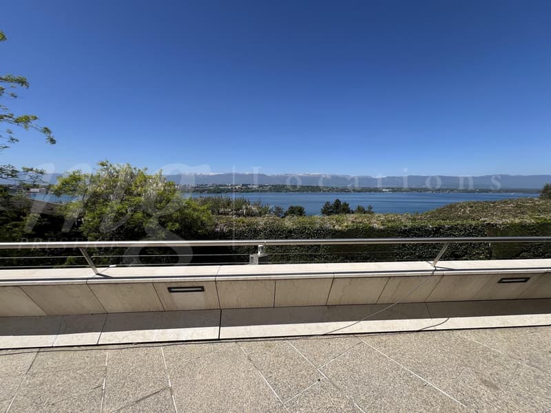 MAISON MODERNE DE 400 m2 hab - VUE PANORAMIQUE A 180 SUR LE LAC - PISCINE - ASCENSEUR (7)