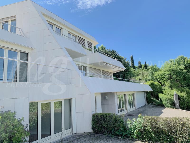 MAISON MODERNE DE 400 m2 hab - VUE PANORAMIQUE A 180 SUR LE LAC - PISCINE - ASCENSEUR (4)