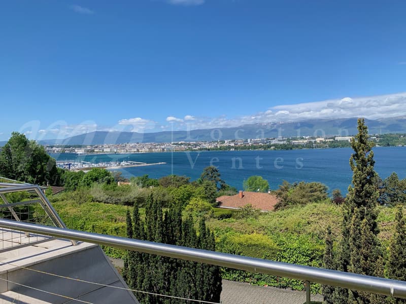 MAISON MODERNE DE 400 m2 hab - VUE PANORAMIQUE A 180 SUR LE LAC - PISCINE - ASCENSEUR (1)