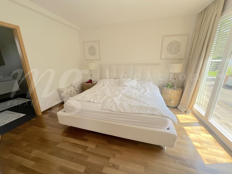 En exclusivité ! MAGNIFIQUE MAISON MODERNE DE 300 M2 AVEC GRAND JARDIN ET PISCINE (12)