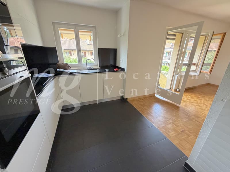 En Exclusivité !!! SUPERBE APPARTEMENT DE 152 m2 EN DUPLEX ATTTIQUE AVEC BELLE TERRASSE/JARDIN (8)