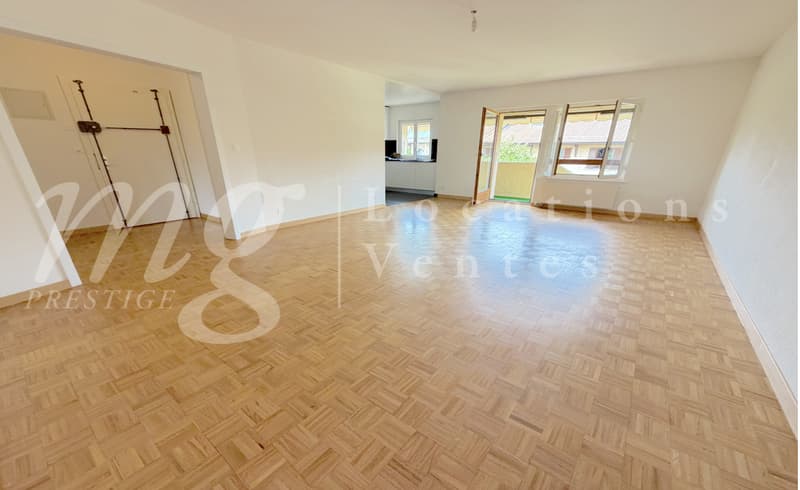 En Exclusivité !!! SUPERBE APPARTEMENT DE 152 m2 EN DUPLEX ATTTIQUE AVEC BELLE TERRASSE/JARDIN (4)