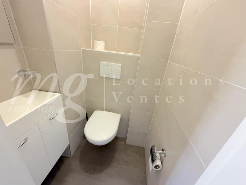 En Exclusivité !!! SUPERBE APPARTEMENT DE 152 m2 EN DUPLEX ATTTIQUE AVEC BELLE TERRASSE/JARDIN (7)