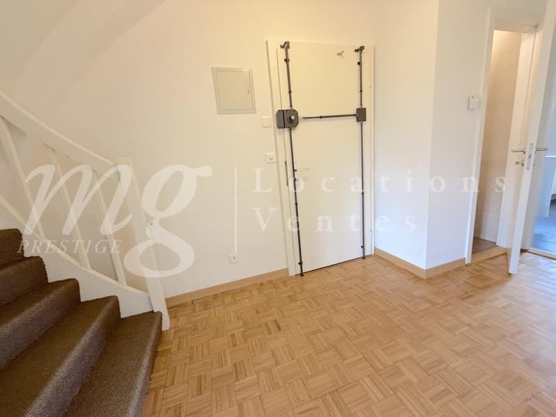 En Exclusivité !!! SUPERBE APPARTEMENT DE 152 m2 EN DUPLEX ATTTIQUE AVEC BELLE TERRASSE/JARDIN (6)