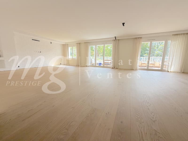 MAGNIFIQUE APPARTEMENT DE 7 PIECES DE 251 m2 PPE AVEC LARGE TERRASSE & VUE DEGAGEE VERDURE (5)