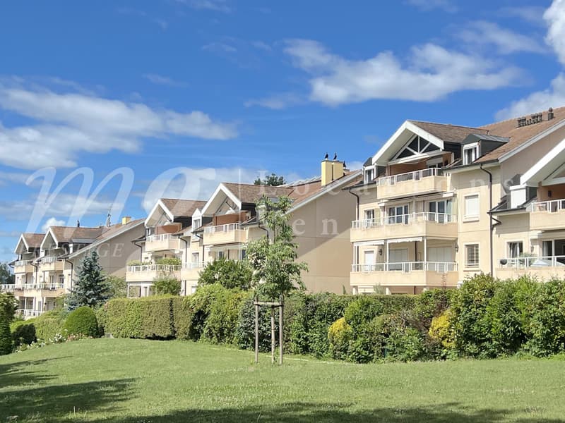 MAGNIFIQUE APPARTEMENT DE 7 PIECES DE 251 m2 PPE AVEC LARGE TERRASSE ET VUE DEGAGEE VERDURE (4)