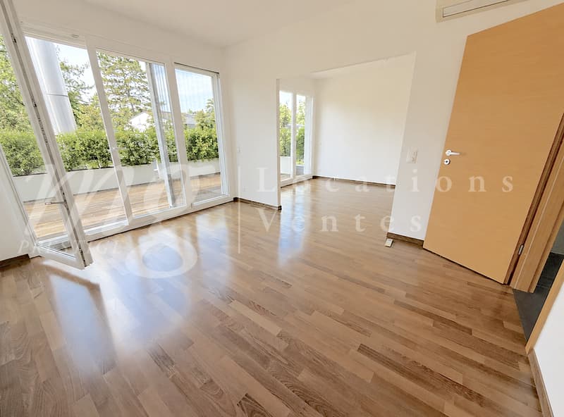 En exclusivité ! MAGNIFIQUE MAISON CONTEMPORAINE DE 8 PIECES AVEC JARDIN ARBORE ET GRANDE PISCINE (12)
