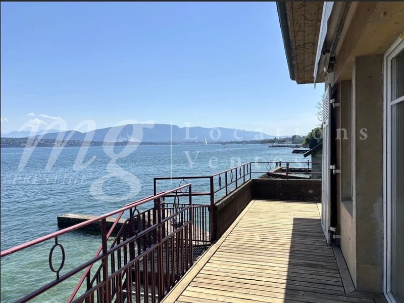 PIED DANS L'EAU !!!! TRES BELLE MAISON RENOVEE AVEC LARGE TERRASSE - VUE LAC, PONTON ET PLACE BATEAU (5)