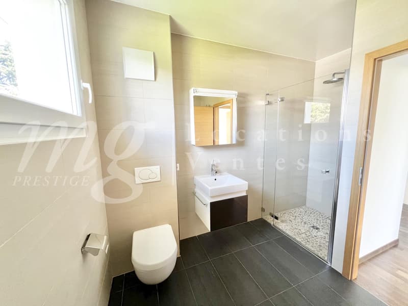 En exclusivité ! SUPERBE MAISON CONTEMPORAINEDE 300 M2 AVEC PISCINE ET GRAND JARDIN CLOTURE - CALME (9)