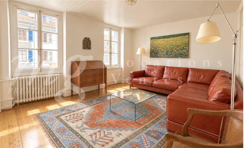 MAGNIFIQUE APPARTEMENT DE 6P DANS LE VIEUX-CAROUGE AVEC TERRASSE JARDIN + ARCADE + STUDIO INDEPENDANT (2)