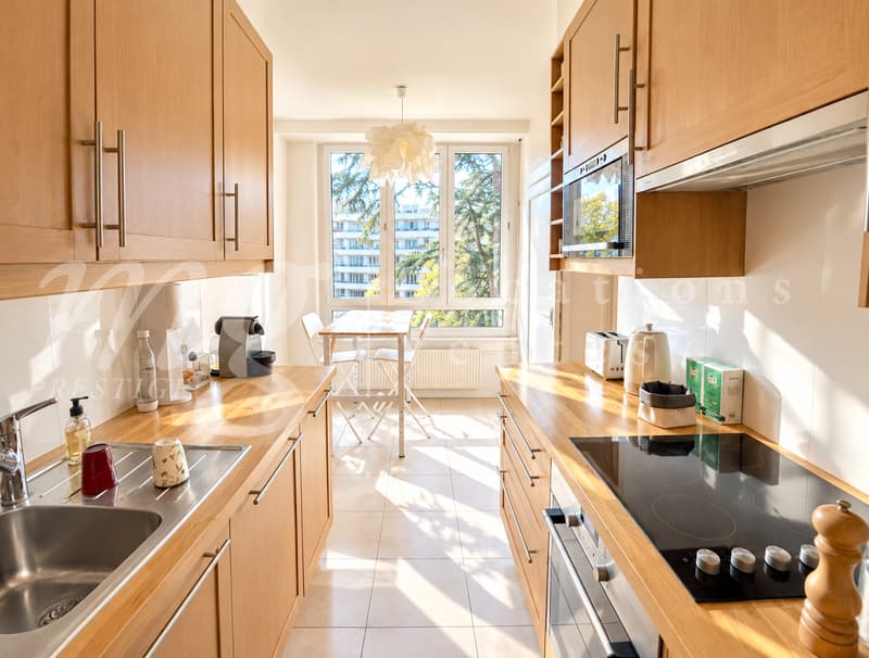 SUPERBE ET GRAND APPARTEMENT TRAVERSANT DE 3 PIECES AVEC TERRASSE - PARC LA GRANGE (4)