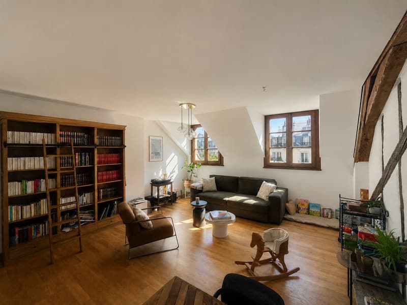 Charmant 3 pieces loft  Plein centre (4)