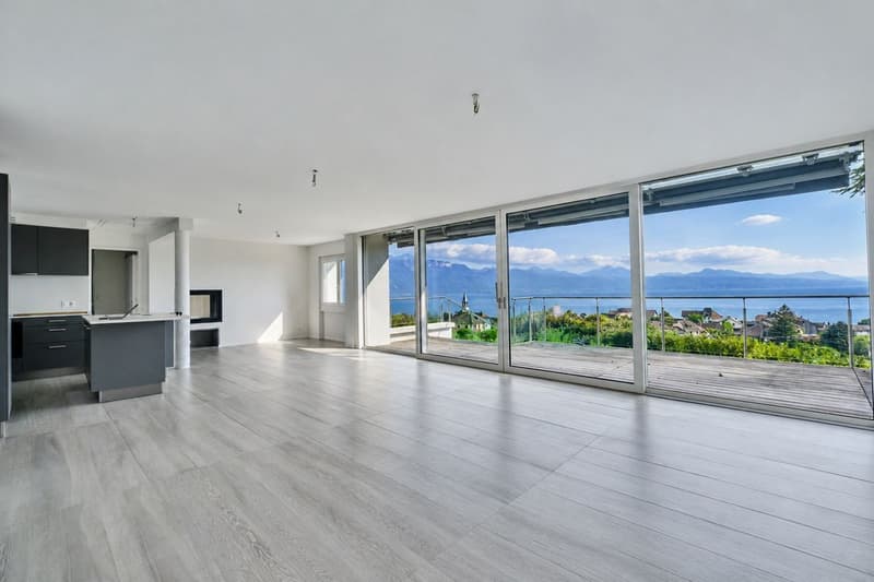 Villa d'architecte Au milieu des vignes Vue lac Spectaculaire (4)