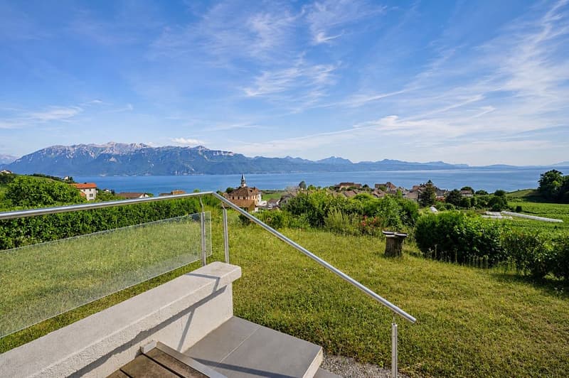 Villa d'architecte Au milieu des vignes Vue lac Spectaculaire (11)