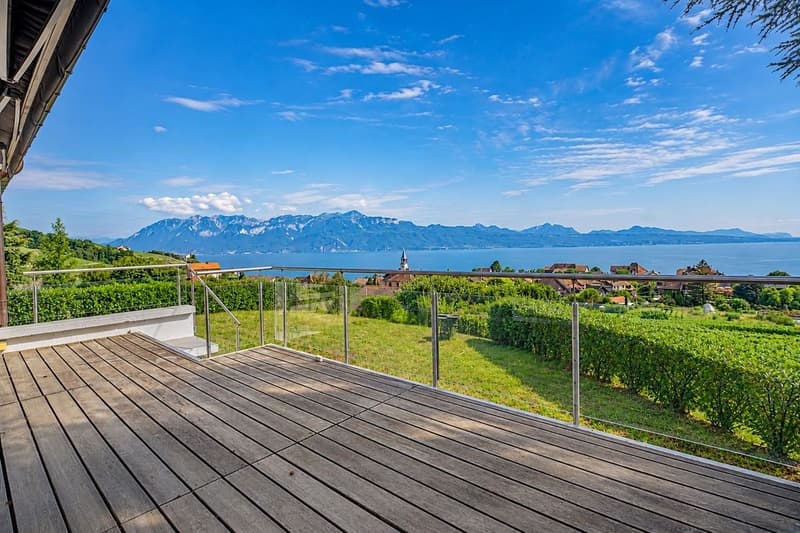 Villa d'architecte Au milieu des vignes Vue lac Spectaculaire (3)