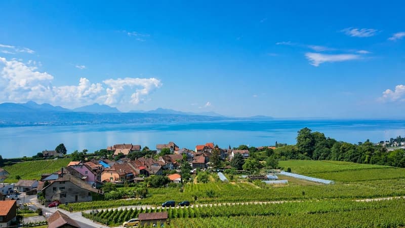 Villa d'architecte Au milieu des vignes Vue lac Spectaculaire (10)