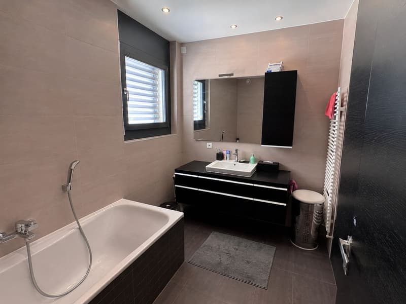 Lumineux appartement avec grand jardin (4)