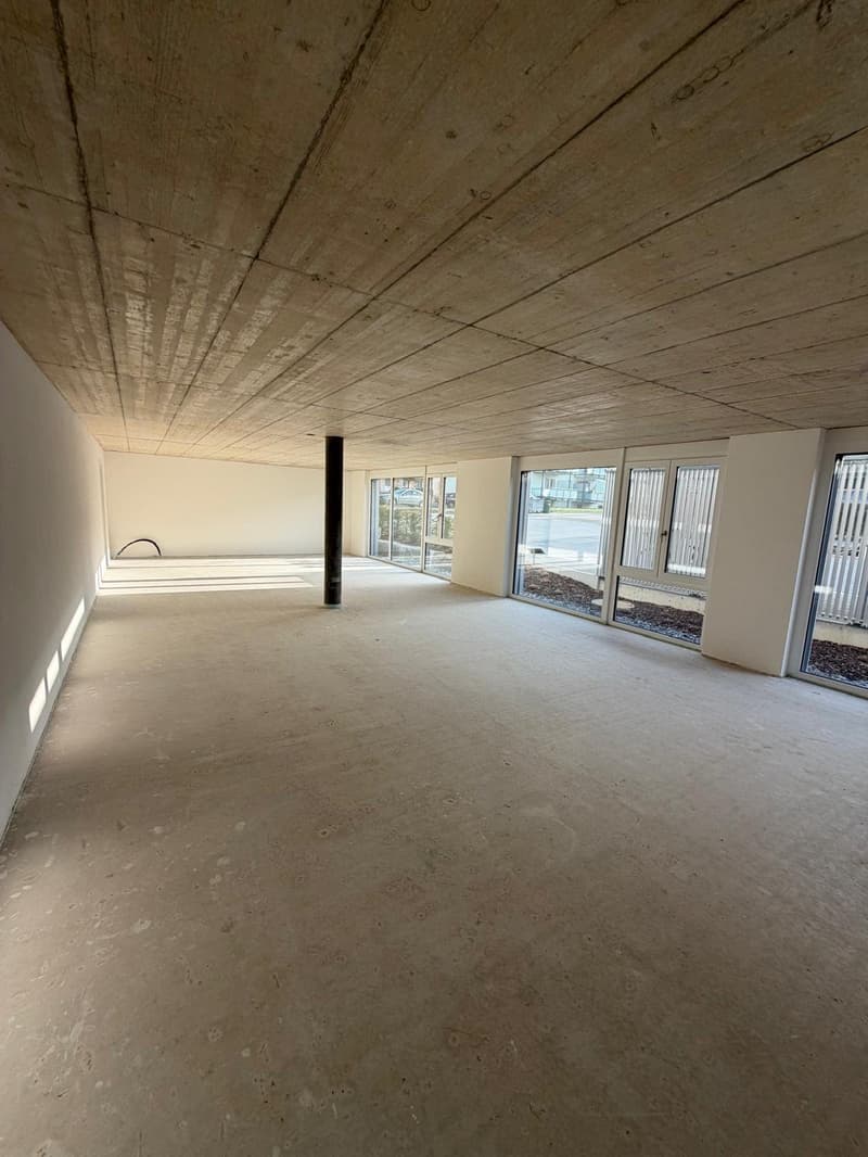 Empty room with windows, bare walls and a concrete floor, ceiling beams