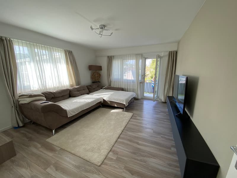 L-shaped sofa, rug, TV, lamp, open balcony
