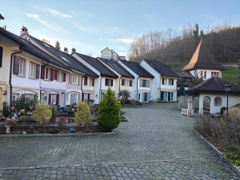 Row of houses, white walls, black roofs, red shutters, brick driveway, small garden in front, trees in the background