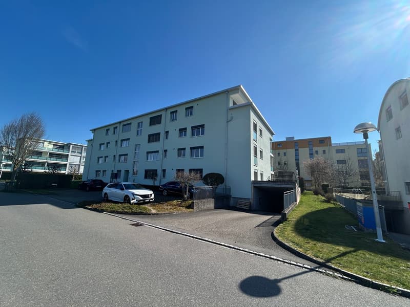 3.5 Zimmer Attikawohnung mit 93 m² Terrasse & Weitsicht (2)