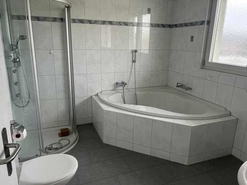 3.5 Zimmer Attikawohnung mit 93 m² Terrasse & Weitsicht (5)
