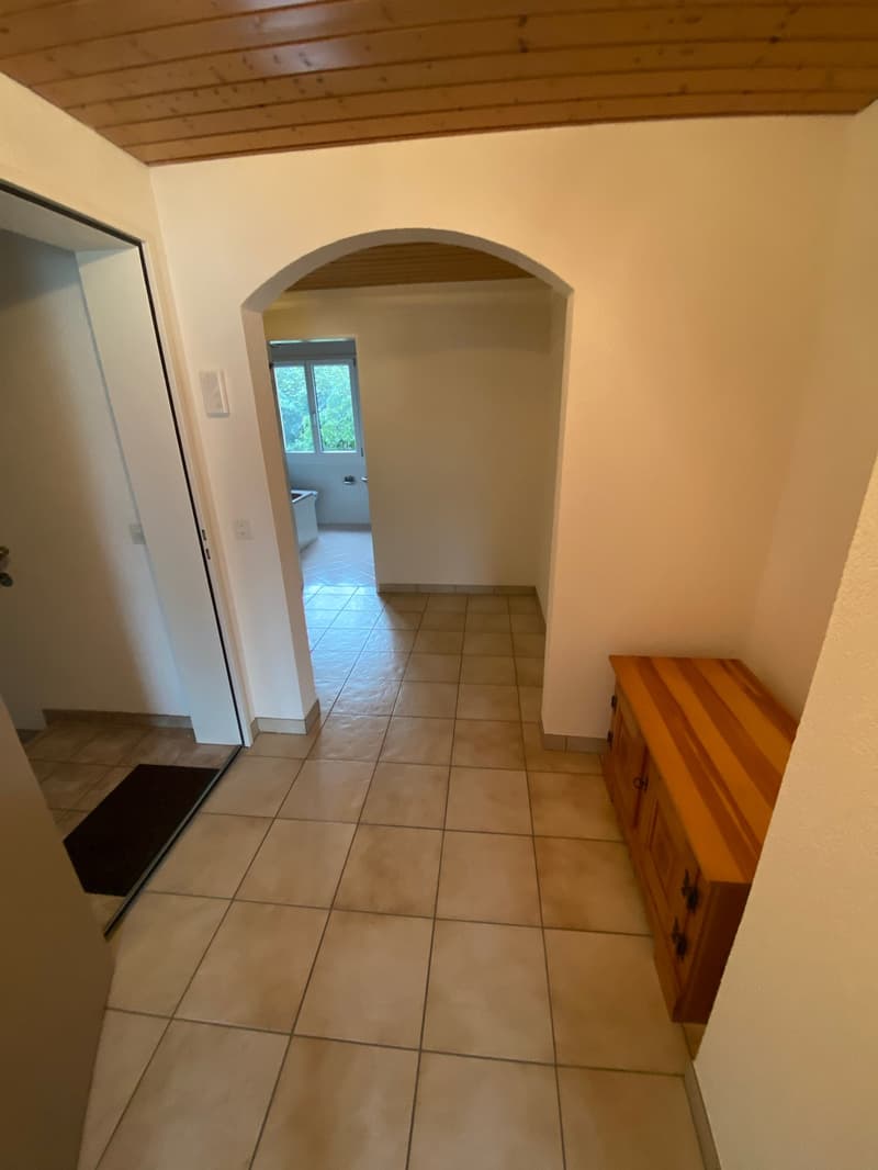 Grosszügige 2.5-Zimmer-Wohnung (5)