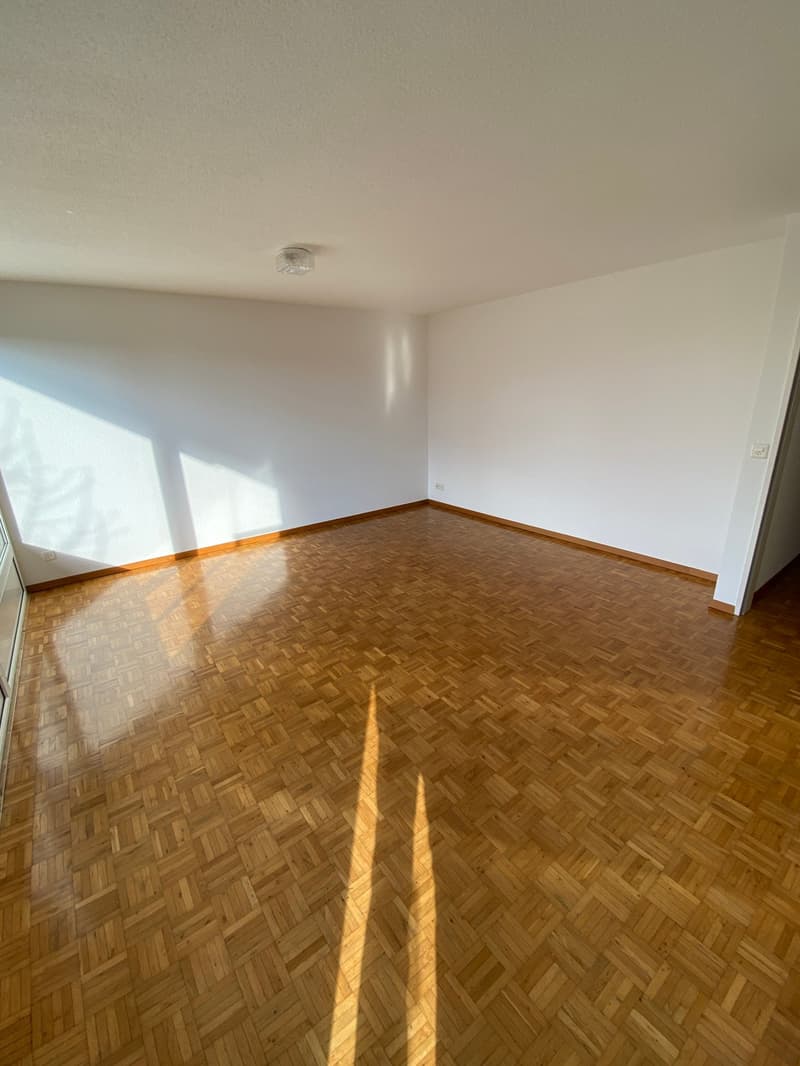 Gemütliche 4.5-Zimmer-Wohnung an sonniger und sehr zentraler Lage (6)