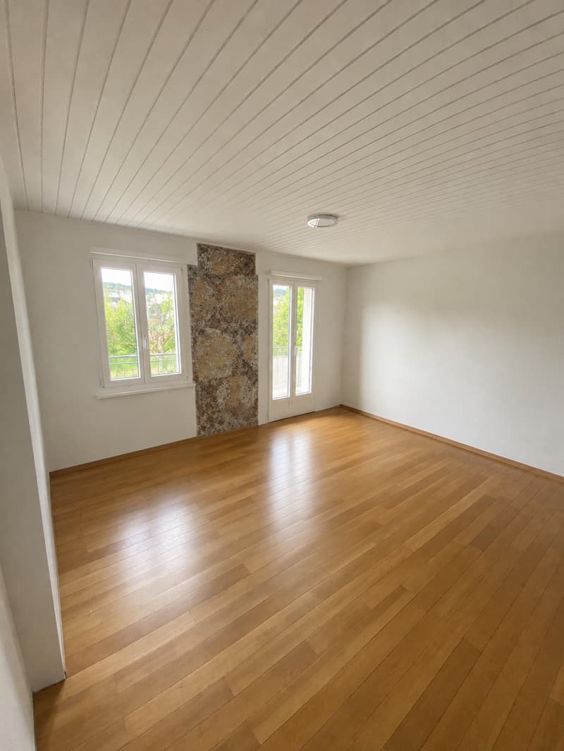 Grosszügiges 5.5-Zimmer-REH/Hausteil (8)