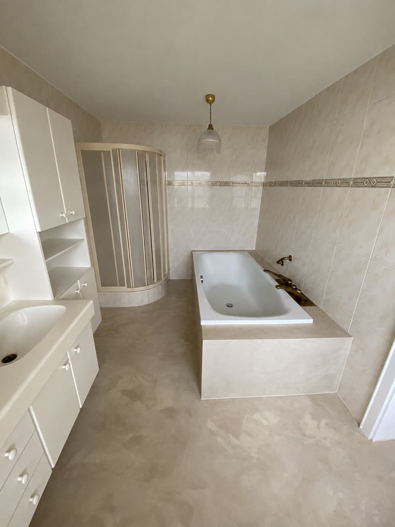 Grosszügiges 5.5-Zimmer-REH/Hausteil (14)