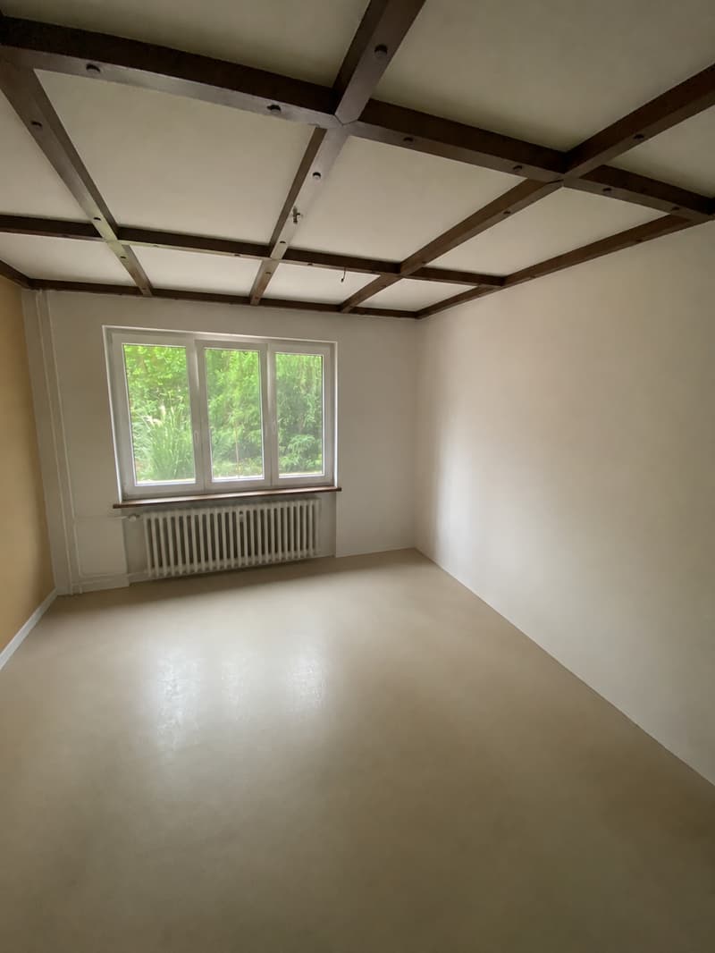 Grosszügiges 5.5-Zimmer-REH/Hausteil (12)
