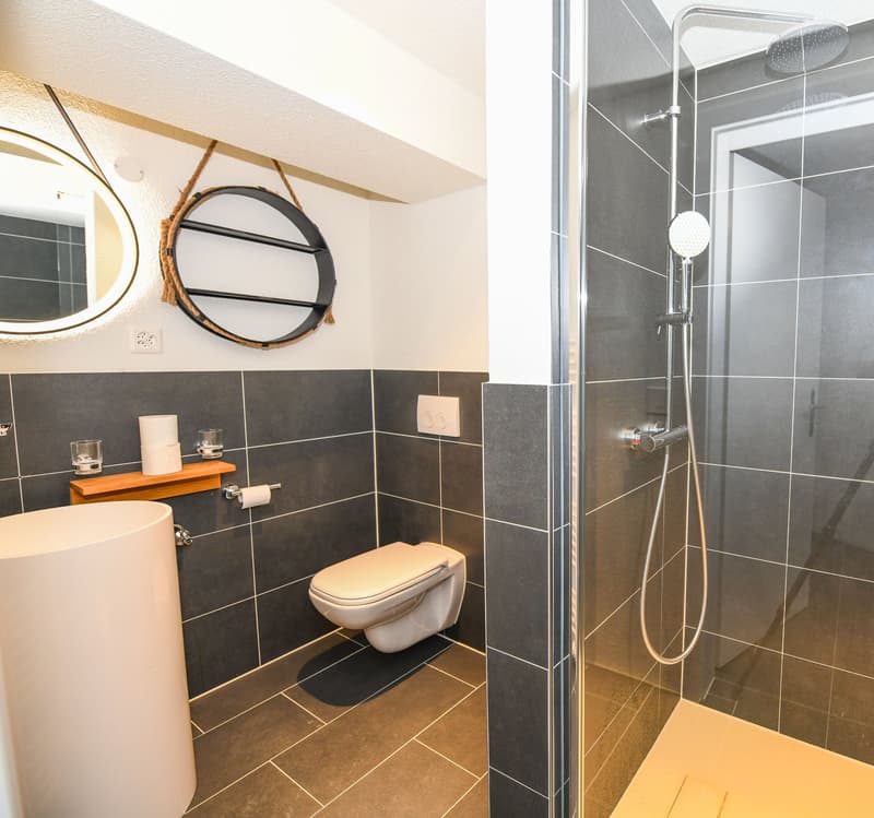 Modern bathroom, round sink, large mirror, modern toilet, tiled walls, shower area