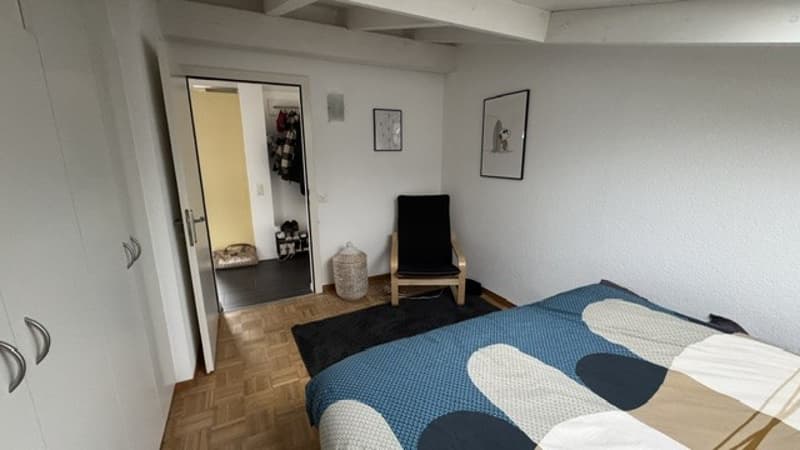 Charmante Dachwohnung in Lyss – Ruhig, Sonnig & Tierfreundlich (2)