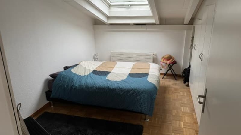 Charmante Dachwohnung in Lyss – Ruhig, Sonnig & Tierfreundlich (10)