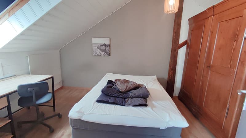 Appartement en duplex dans une fermette en bordure de forêt (6)