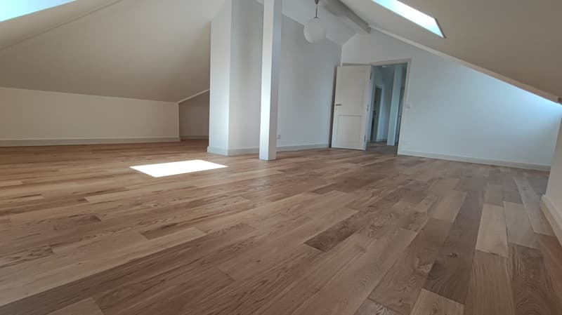 Majestueuse villa de 9 pièces avec accès privé au lac (10)
