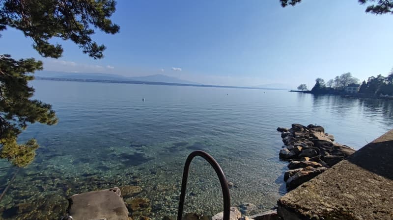 Majestueuse villa de 9 pièces avec accès privé au lac (12)
