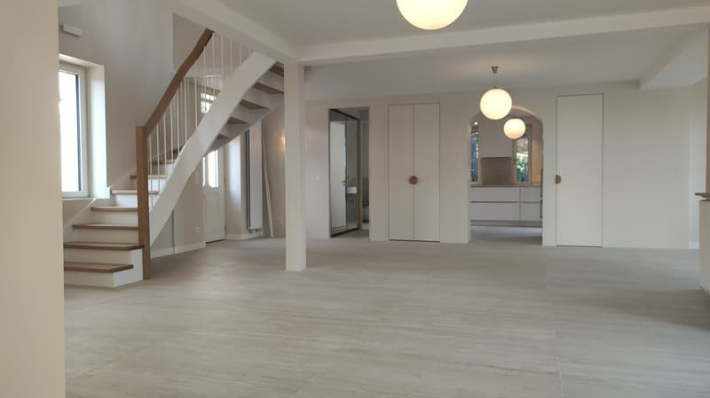 Majestueuse villa de 9 pièces avec accès privé au lac (2)