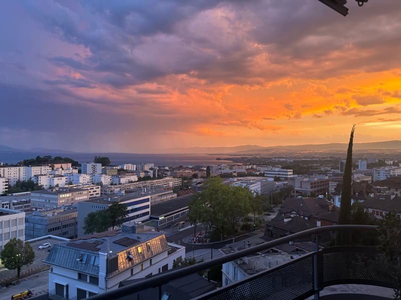 Magnifique appartement avec vue au coeur de Lausanne (1)