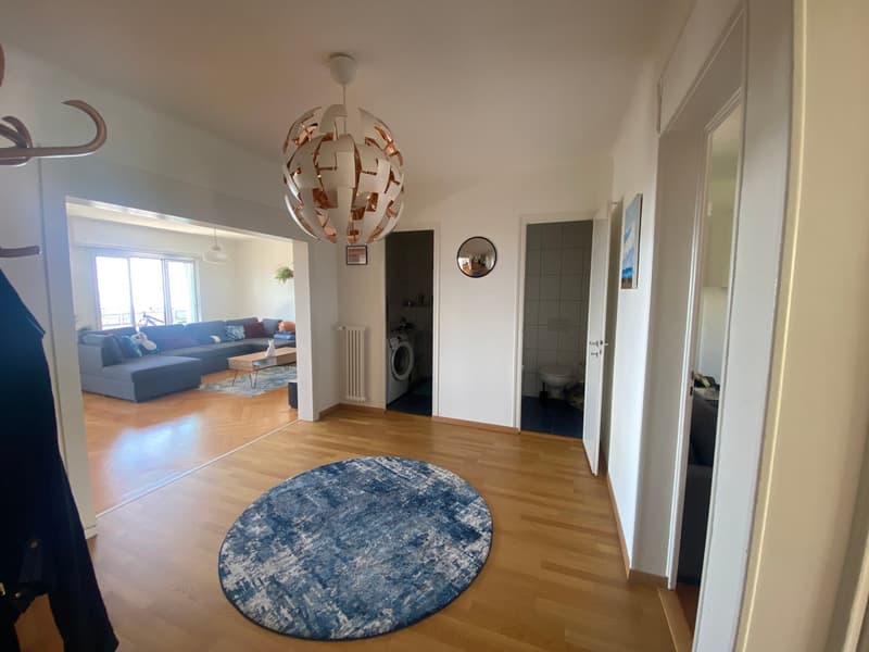 Magnifique appartement avec vue au coeur de Lausanne (5)