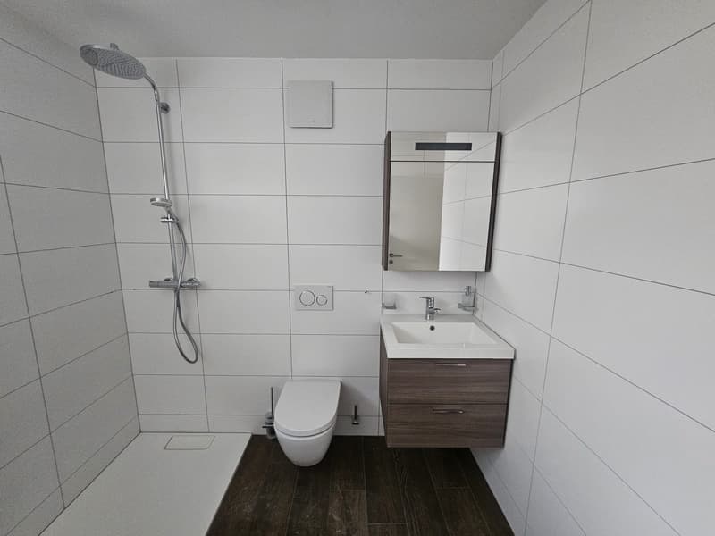 Appartement neuf de 2.5 pièces avec terrasse-jardinet et vue sur les Dents-du-Midi (12)