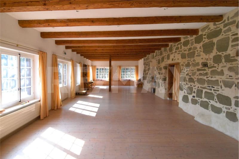 Domaine historique avec parc idyllique et terrain spacieux (7)