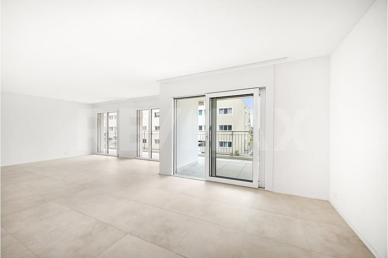 Charmant 4,5 pièces premier propriétaire, terrasse et luminosité optimale (12)