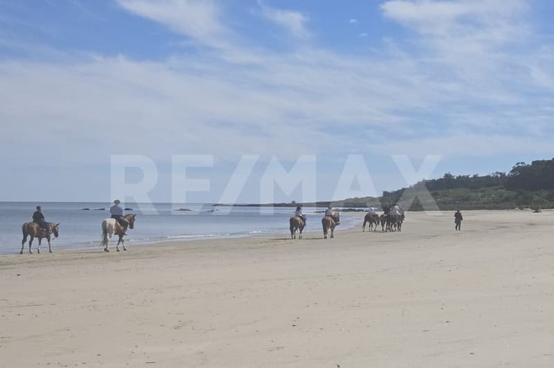 L'Uruguay, la Suisse de l'Amérique du Sud , de superbes terrains à bâtir en bord de mer ! (12)