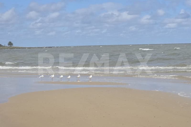 L'Uruguay, la Suisse de l'Amérique du Sud , de superbes terrains à bâtir en bord de mer ! (10)