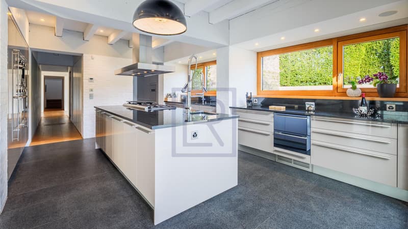 Villa contemporaine avec vue lac (4)