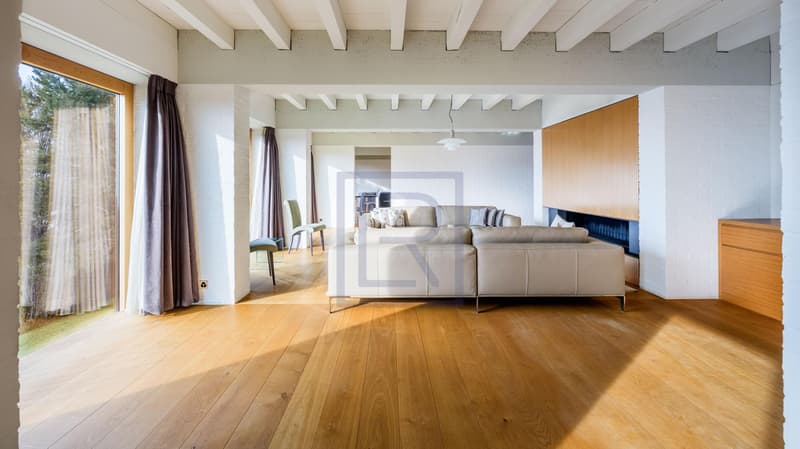 Villa contemporaine avec vue lac (2)