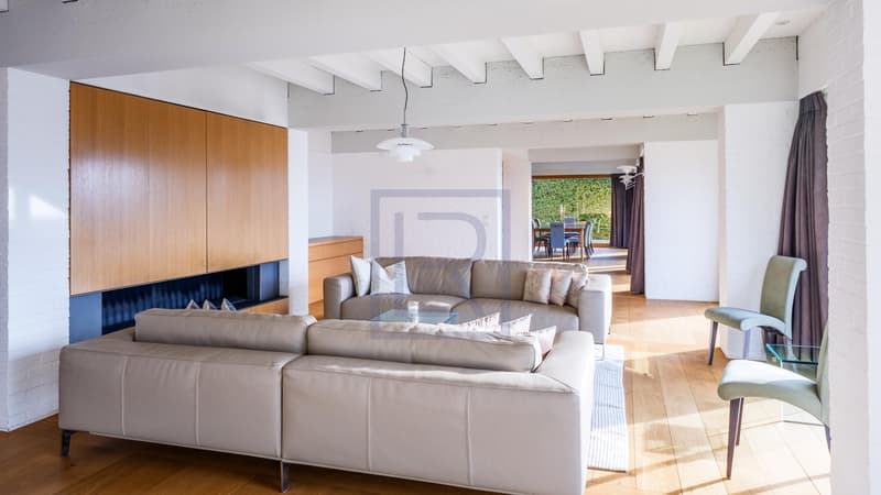 Villa contemporaine avec vue lac (3)