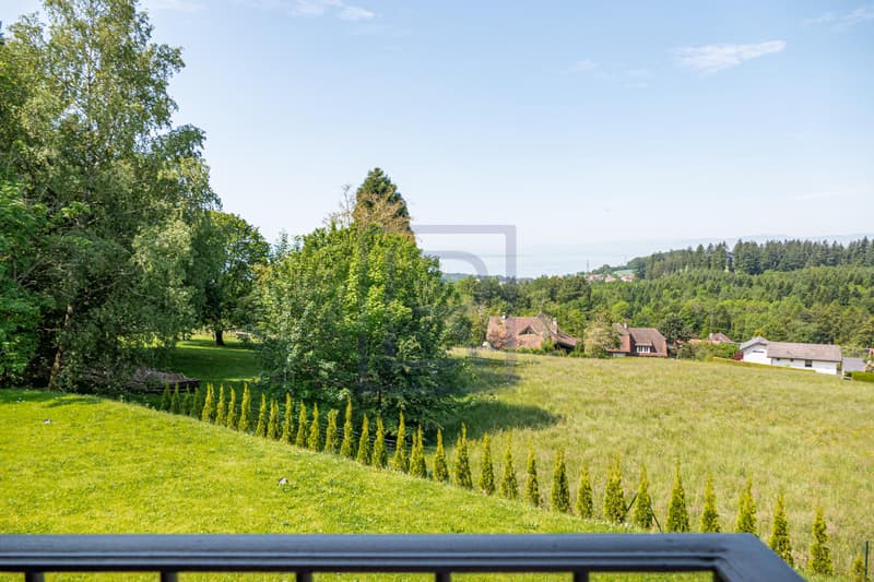 Elégante villa contemporaine (6)