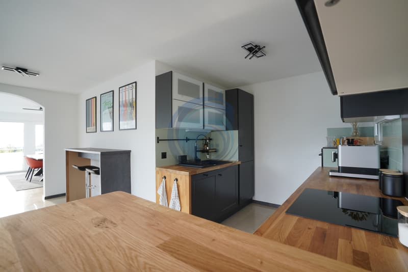 MAGNIFIQUE APPARTEMENT DE STANDING AVEC VUE LAC ET MONTAGNES (10)